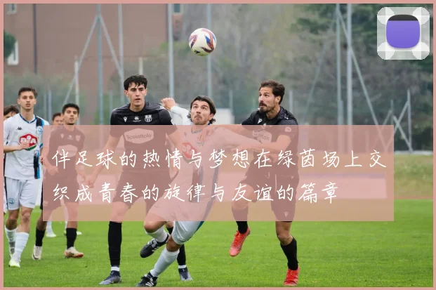 伴足球的热情与梦想在绿茵场上交织成青春的旋律与友谊的篇章
