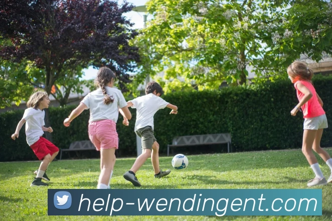 WENDING中国官网APP 封面图